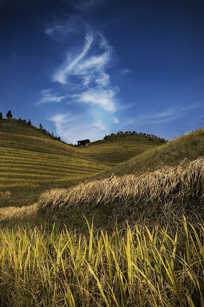 Layered Longji rice terraces catching light in the mountains