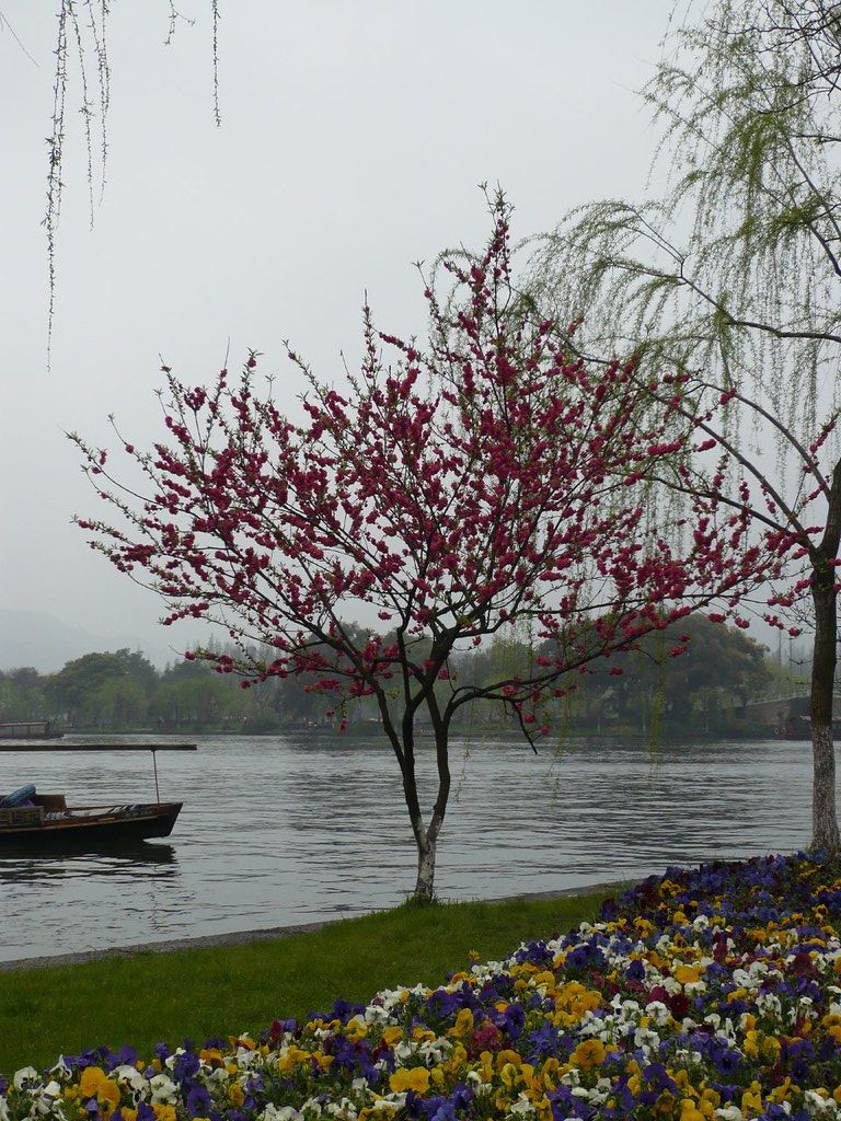 Misty morning across West Lake in Hangzhou